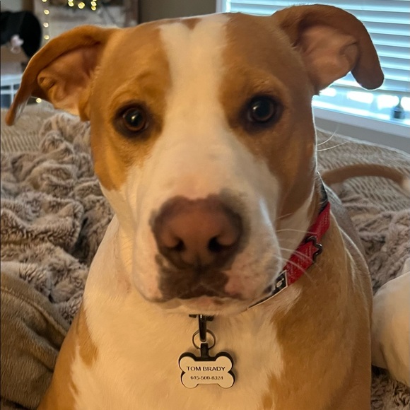 TB says make an offer!!! - Picture 4 of 5